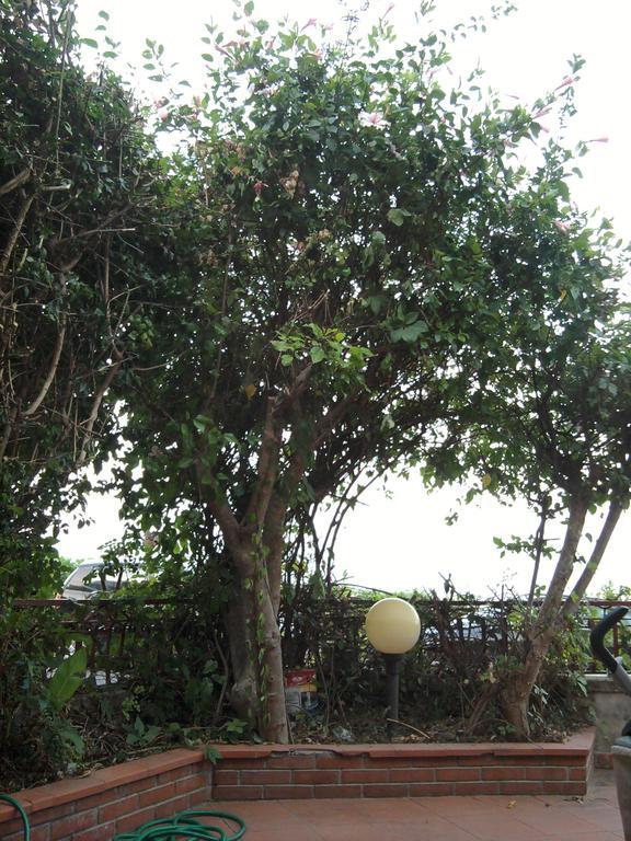 Appartamento Mare เลโตยานนี ภายนอก รูปภาพ